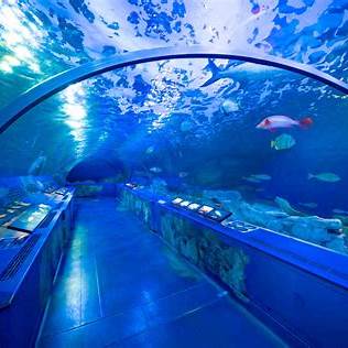 しながわ水族館